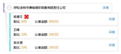 呼和浩特市博瑞煤炭销售有限责任公司