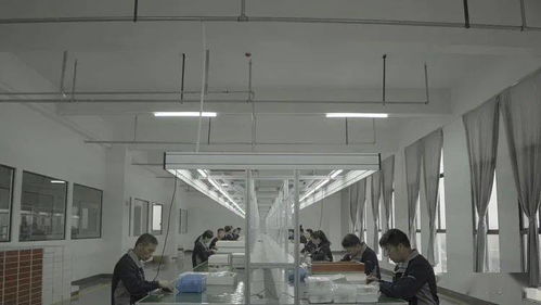 国家知识产权局授权专利 一种便于安装的基站避雷装置发明